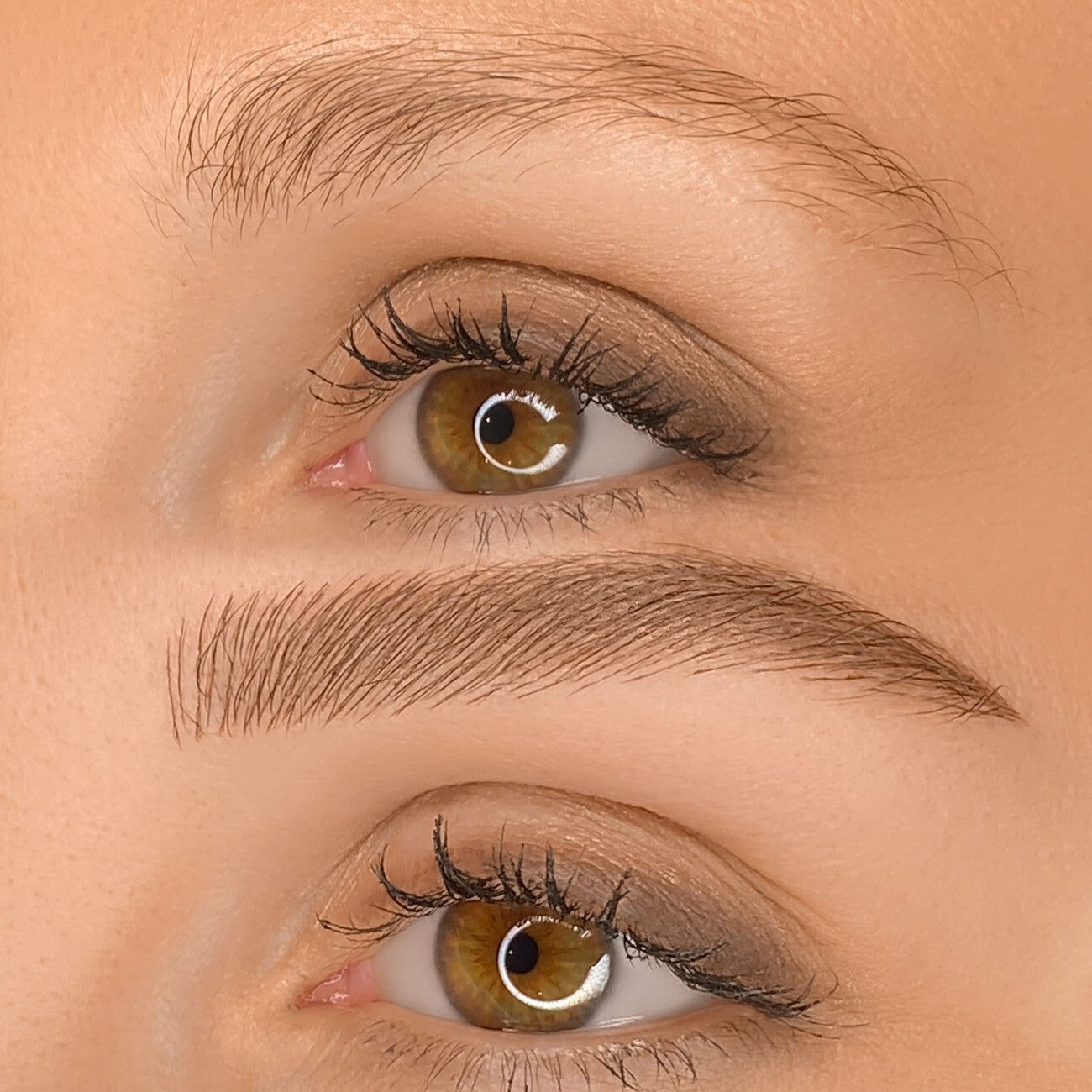 Formation Dermopigmentation : Zone Sourcils