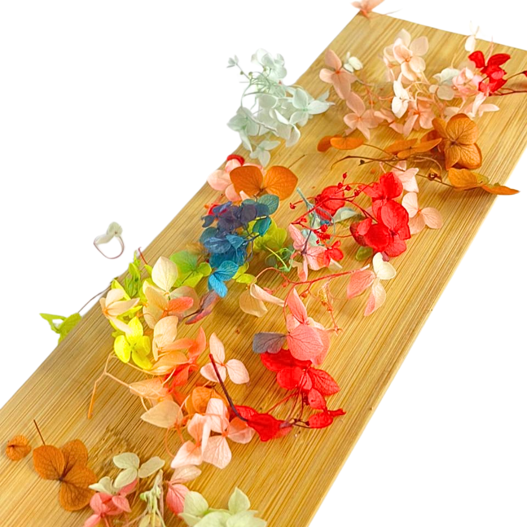 Fleurs Séchées