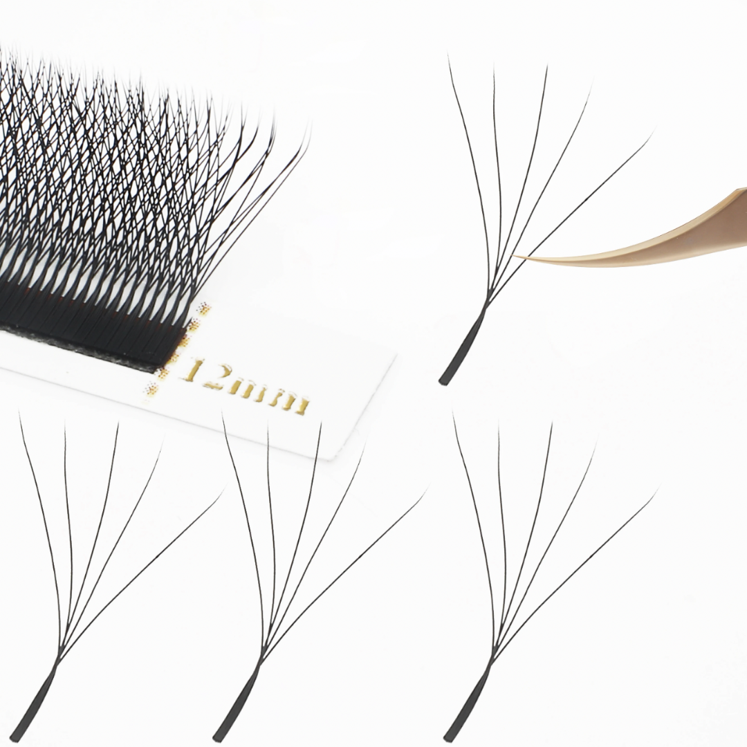 Extensions De Cils - W
