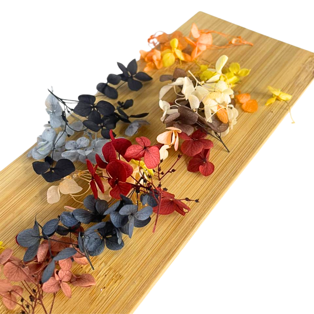 Fleurs Séchées