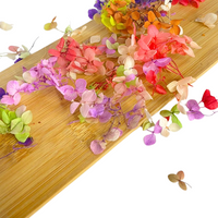 Fleurs Séchées