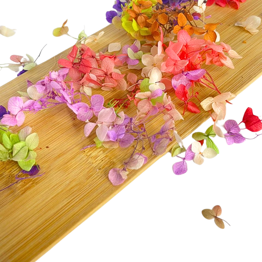 Fleurs Séchées