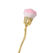 Pinceau Poussière En Forme De Rose Taille S