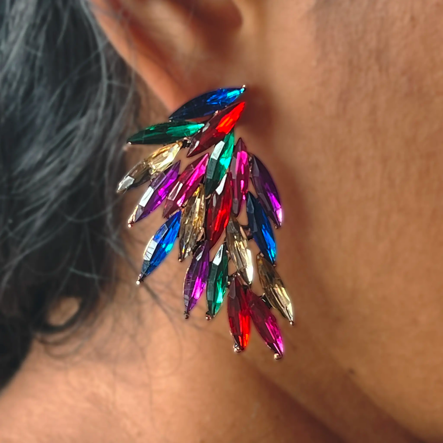 Ailes Multicolores