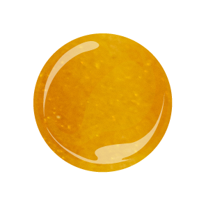 YY011 - Saint François