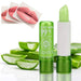 Stick à Lèvres à l'Aloe Vera