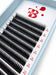 Extensions De Cils - WET Lashes 0,07C