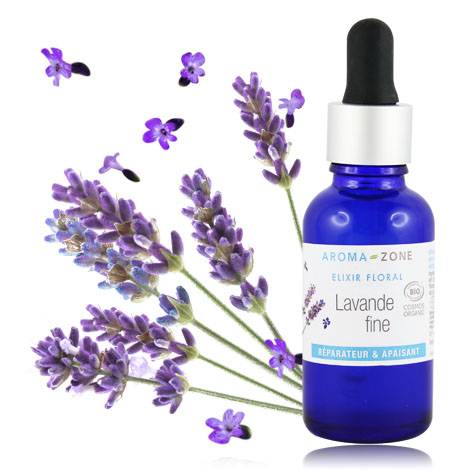 Lavande Fine - Élixir Floral